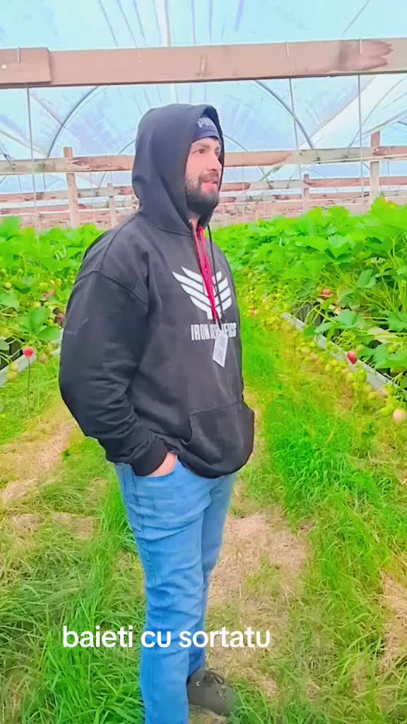 @Genu Vaschi