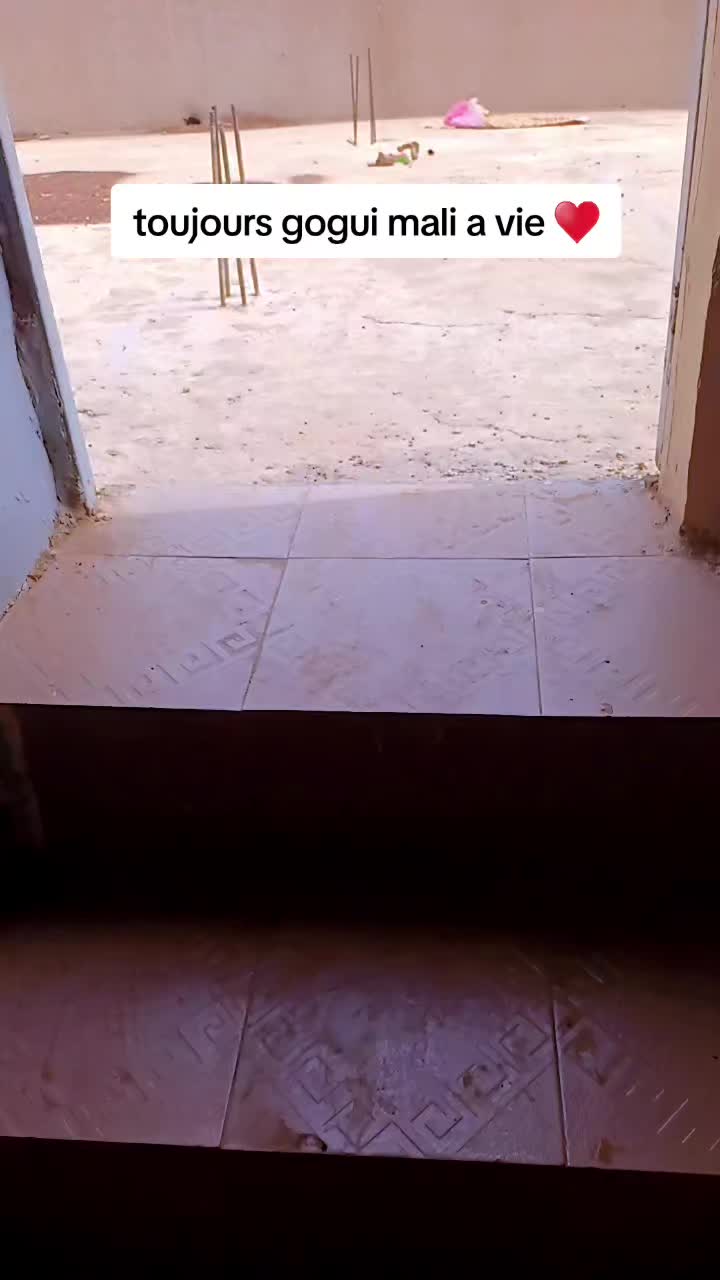 @samane