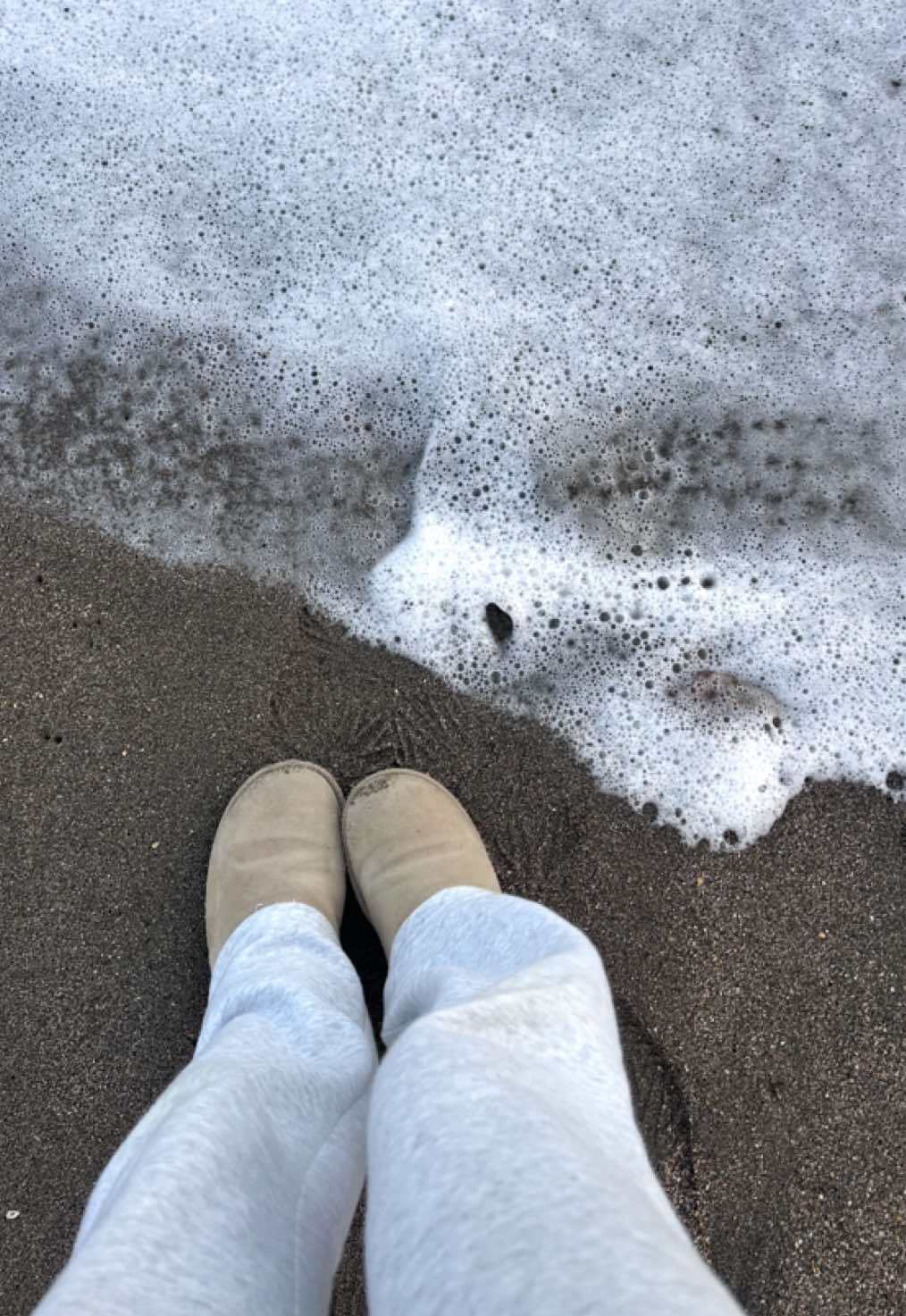 @Petswcourt