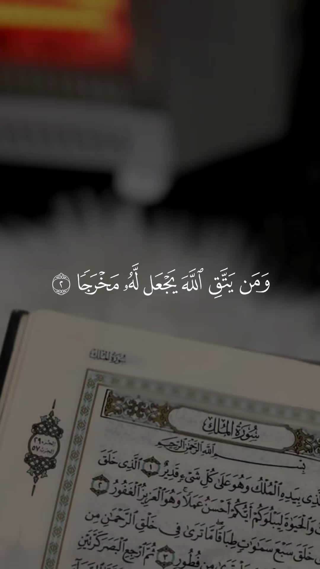 @ألا بذكر الله تطمئن القلوب 🤍
