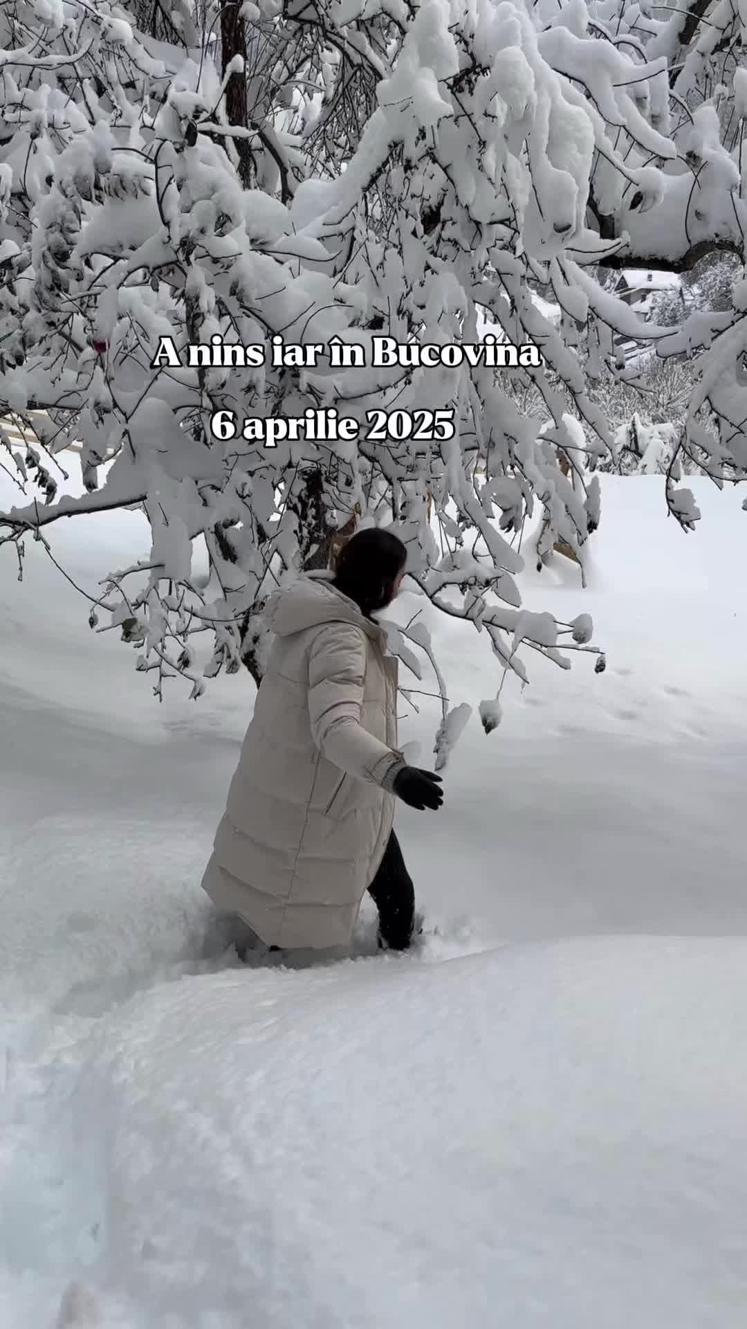 @@PierdutiInVacanta