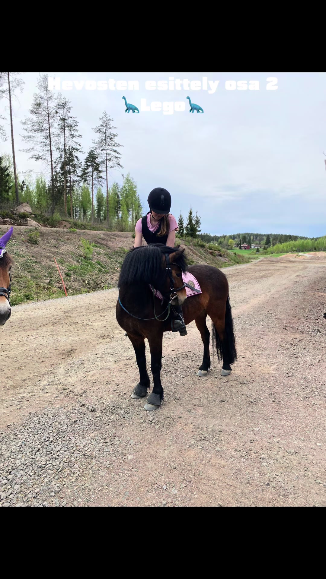 @Ponirannan talli🇫🇮🐎