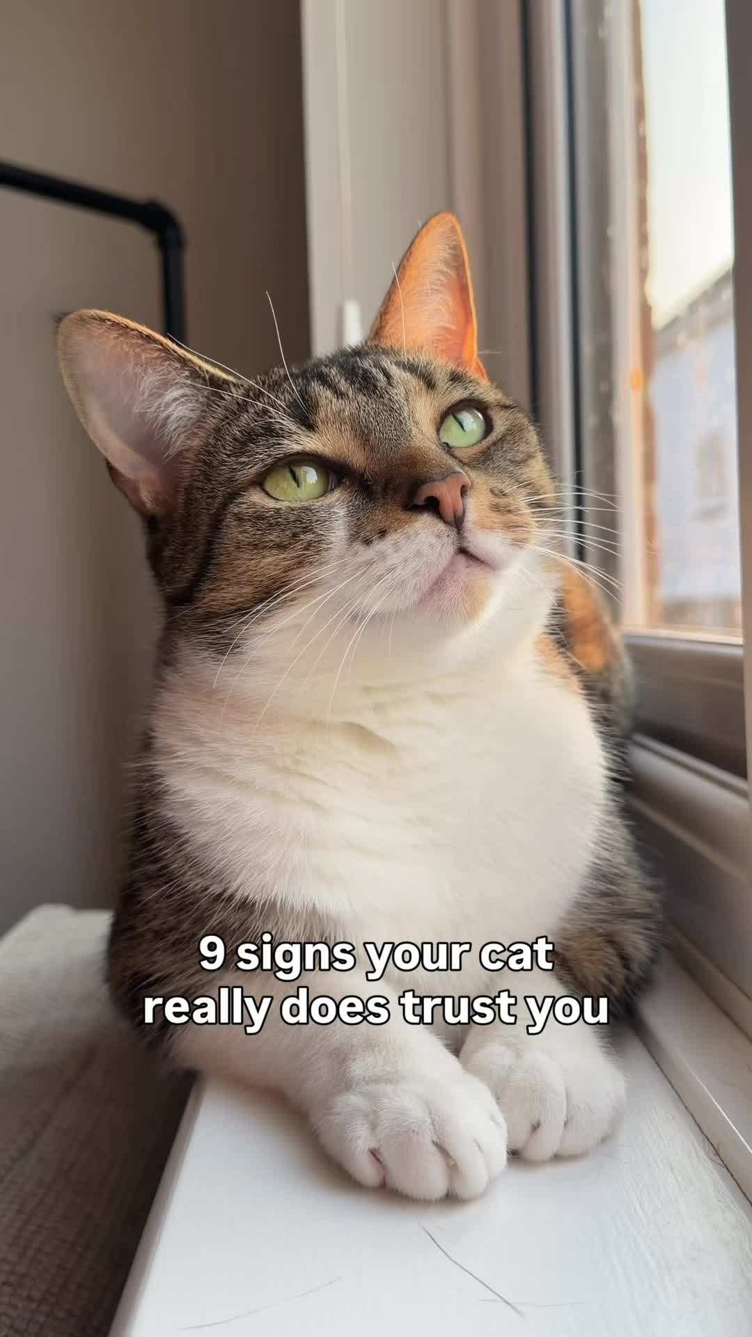 @lola_and_popps