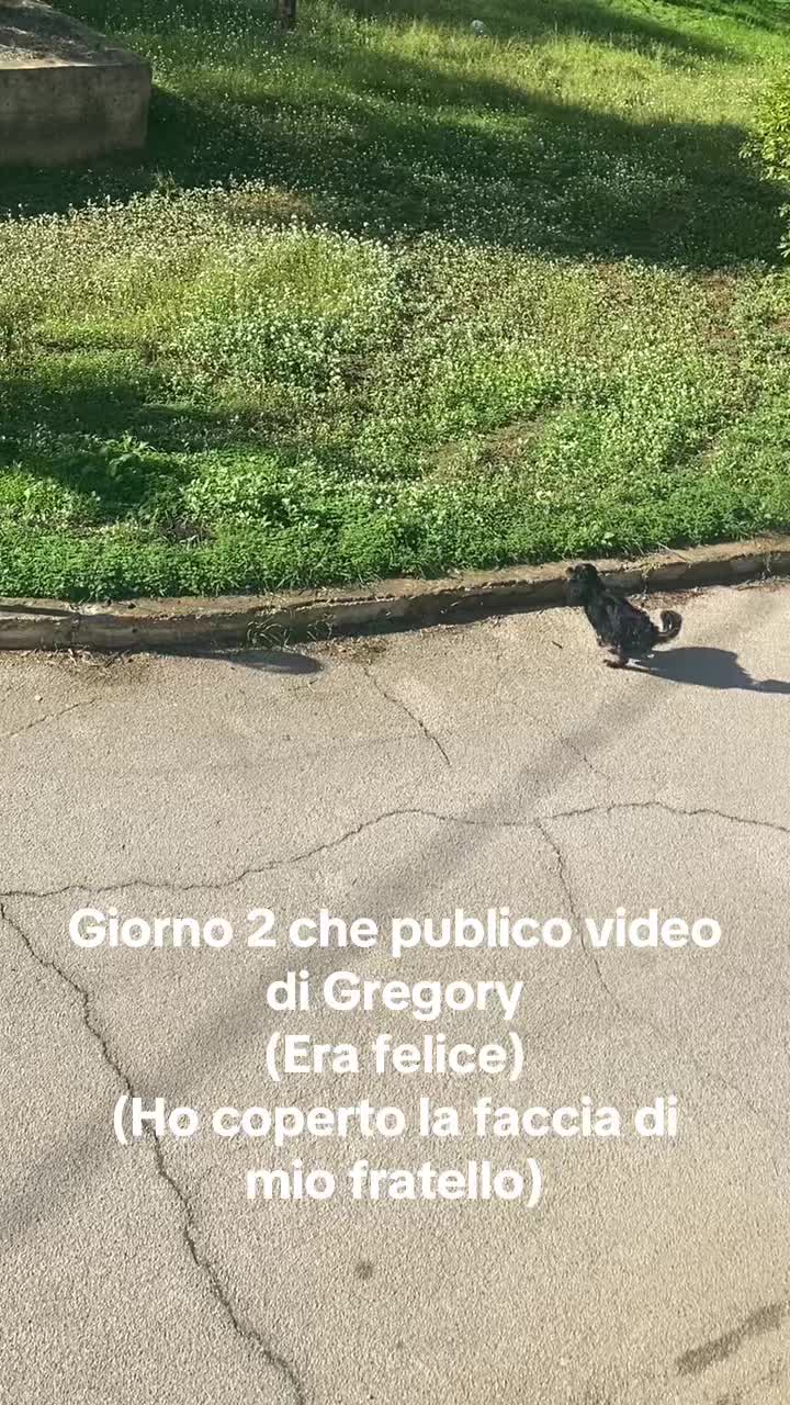 @✨ginevra✨