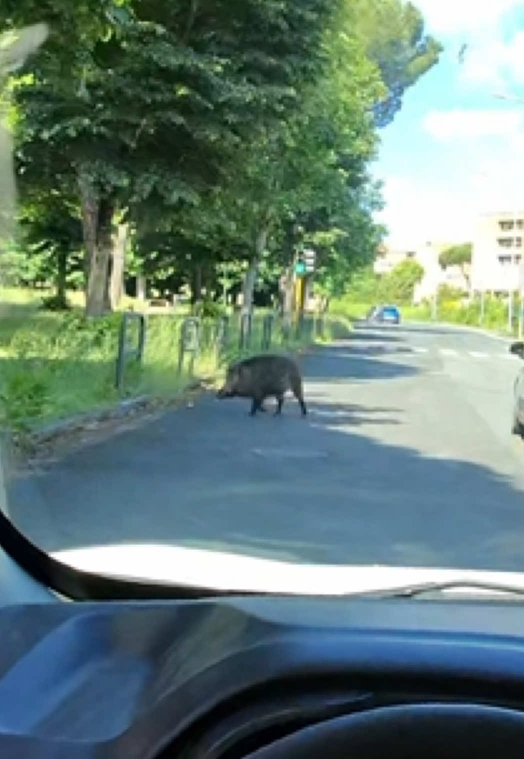 @Klodian Pashkaj