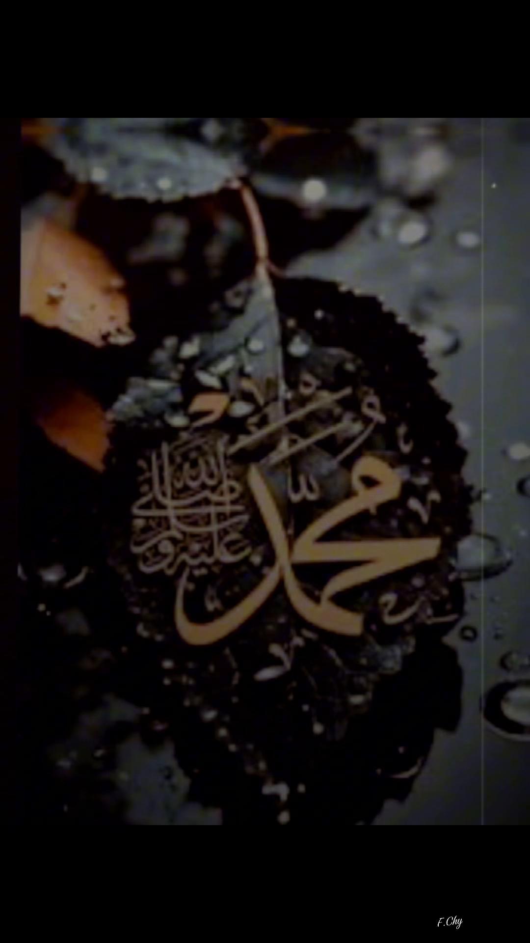 @Farzina Chy