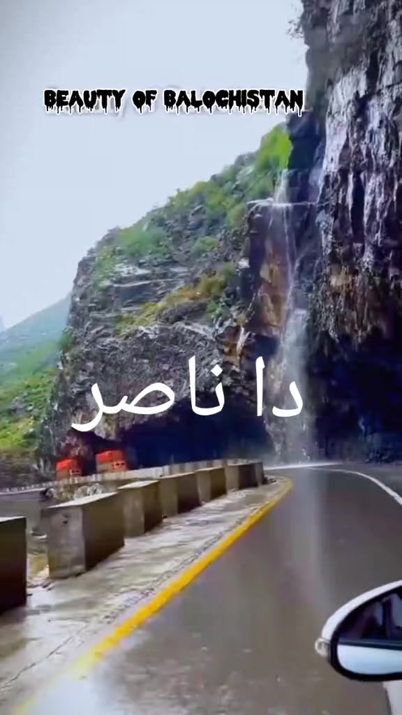 @rashidkhan804