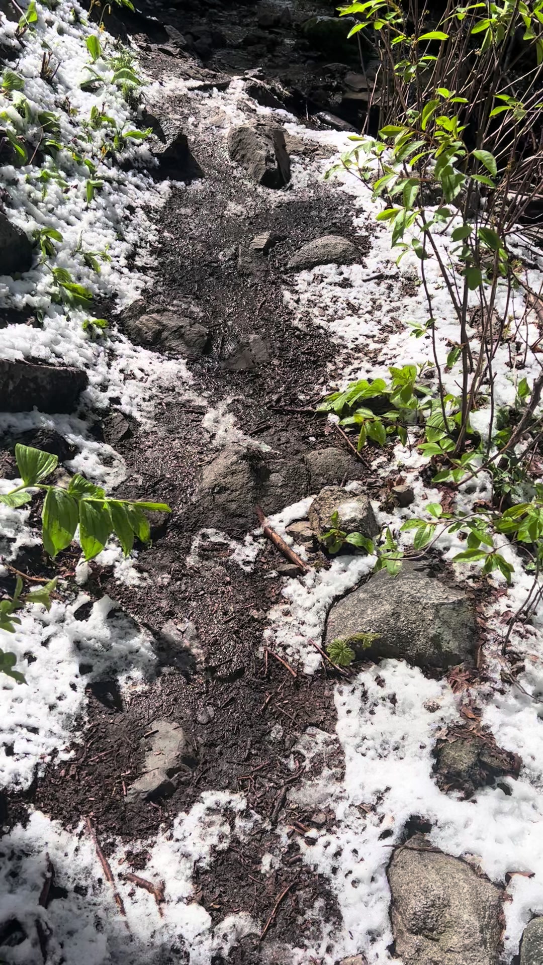 @Wild Fowler 🏔️🥾⛰️