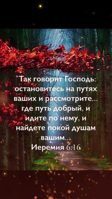 @💫 Юра💫
