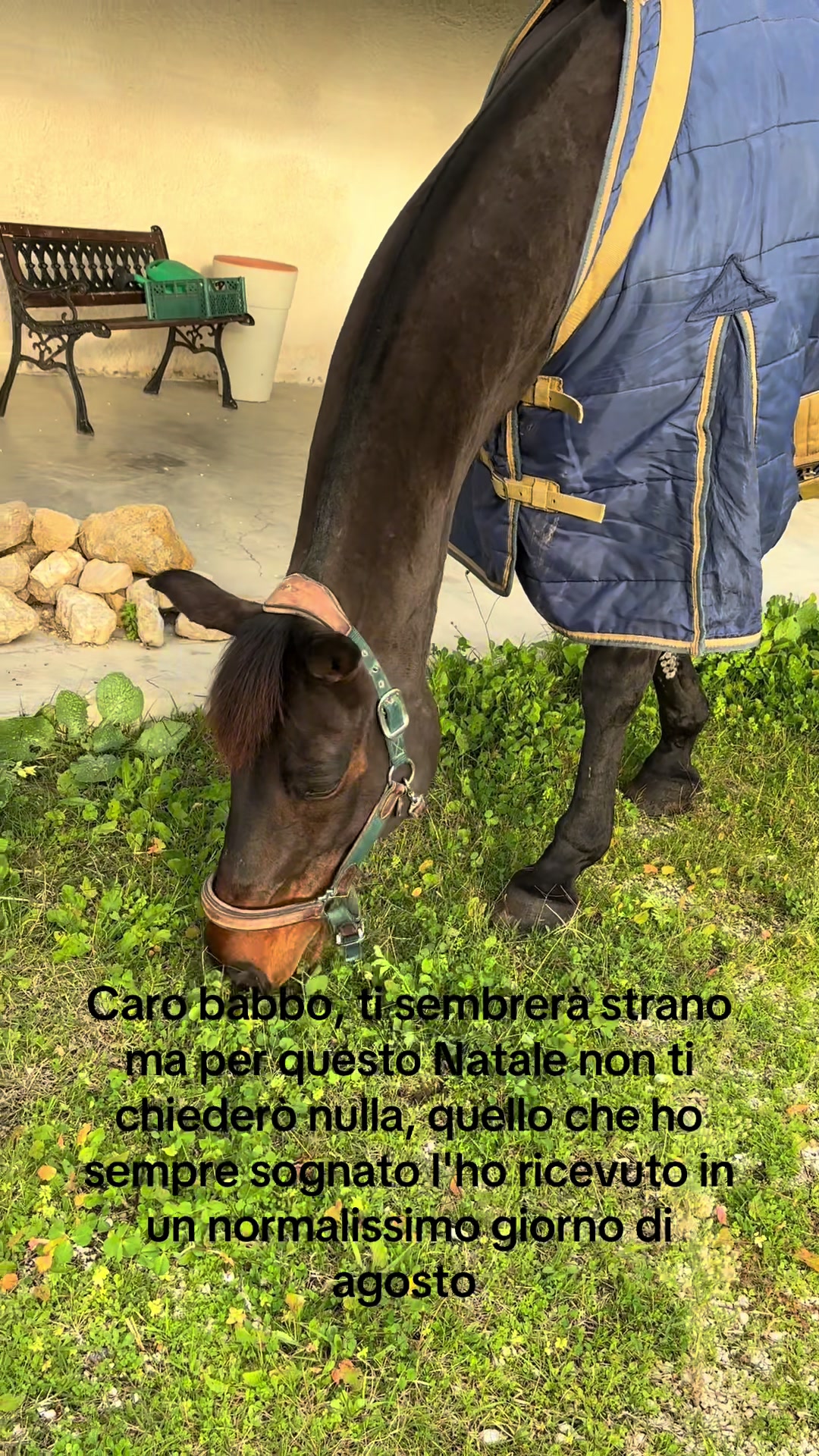 @Leana_sedici_