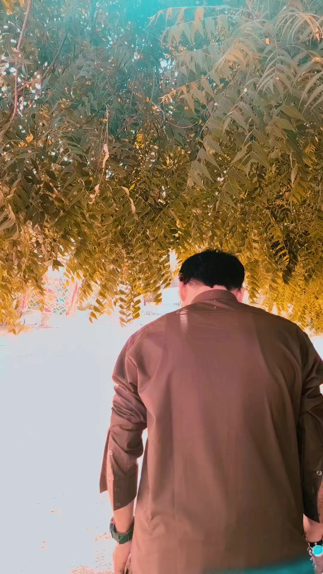 @ماجد۔البلوشی