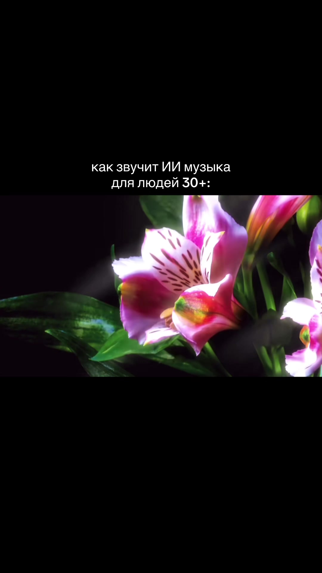 @_elfik@error._