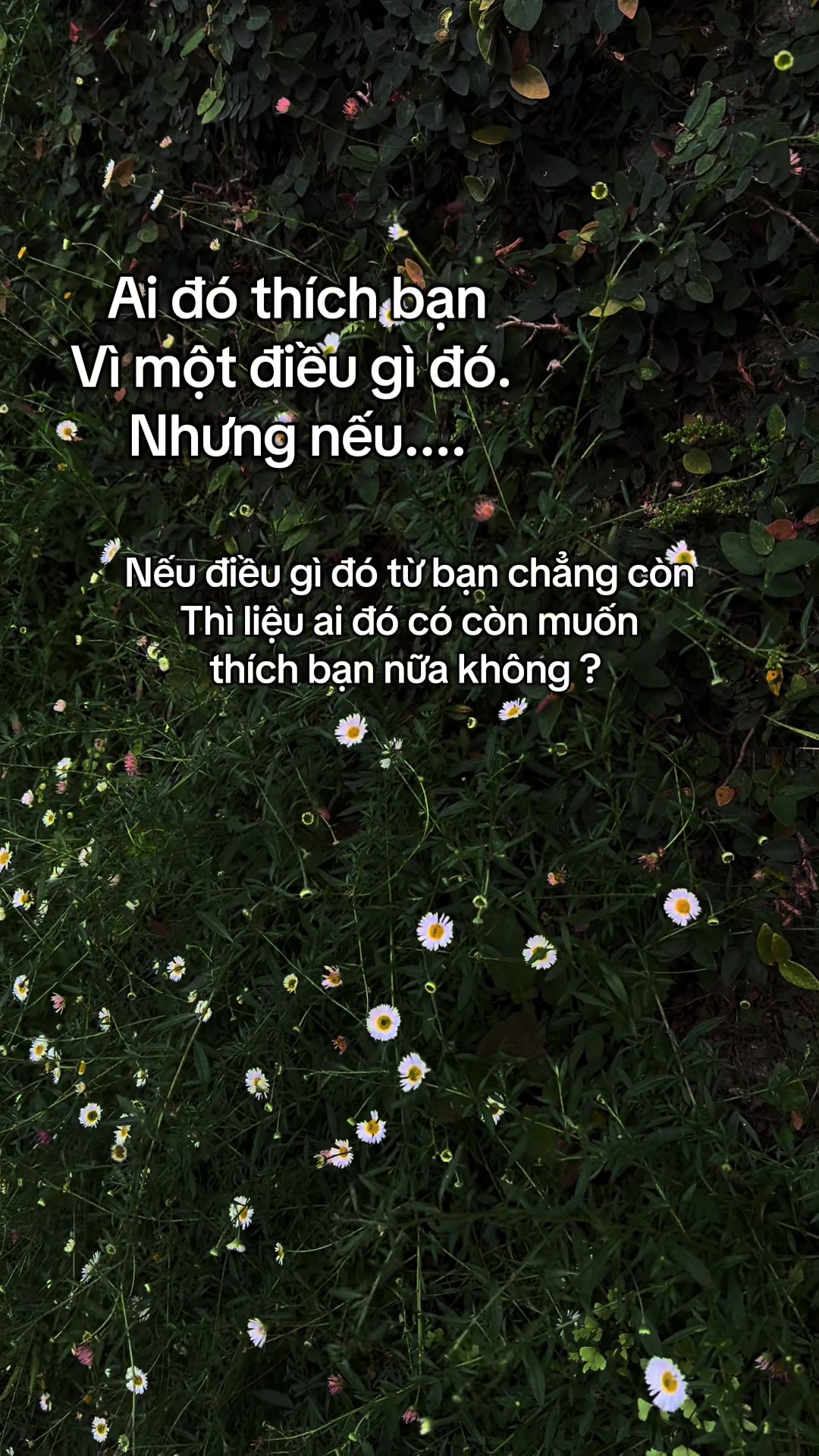 @Nhật k&iacute; rối loạn lo &acirc;u