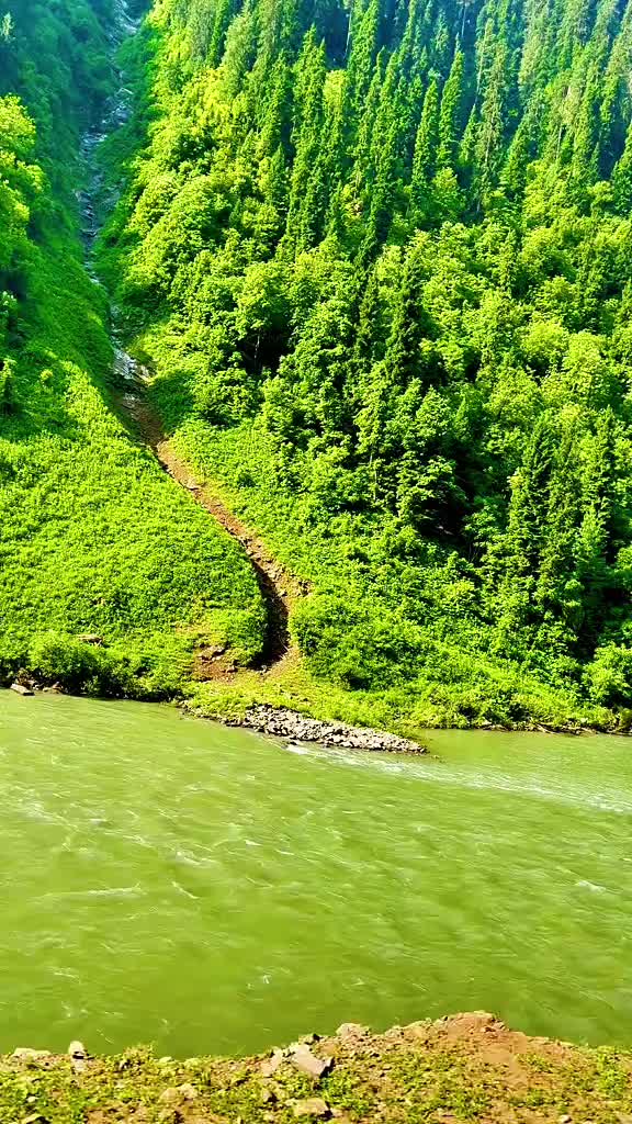 @Nature lover