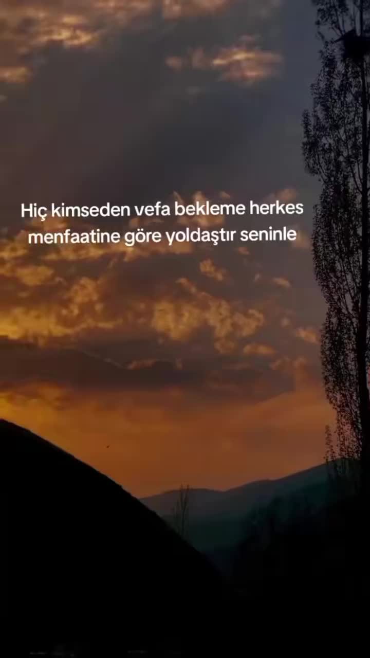 @mavig&ouml;l