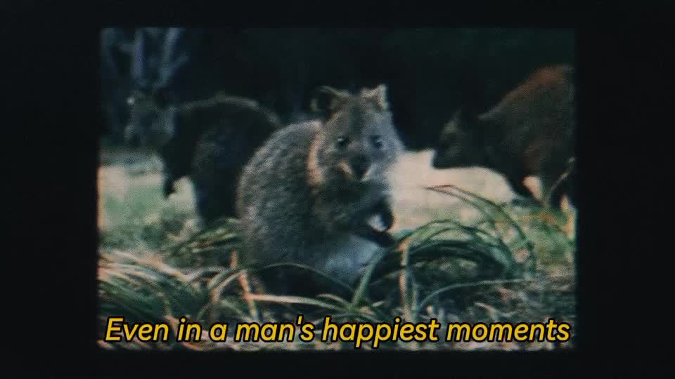@心灵大师