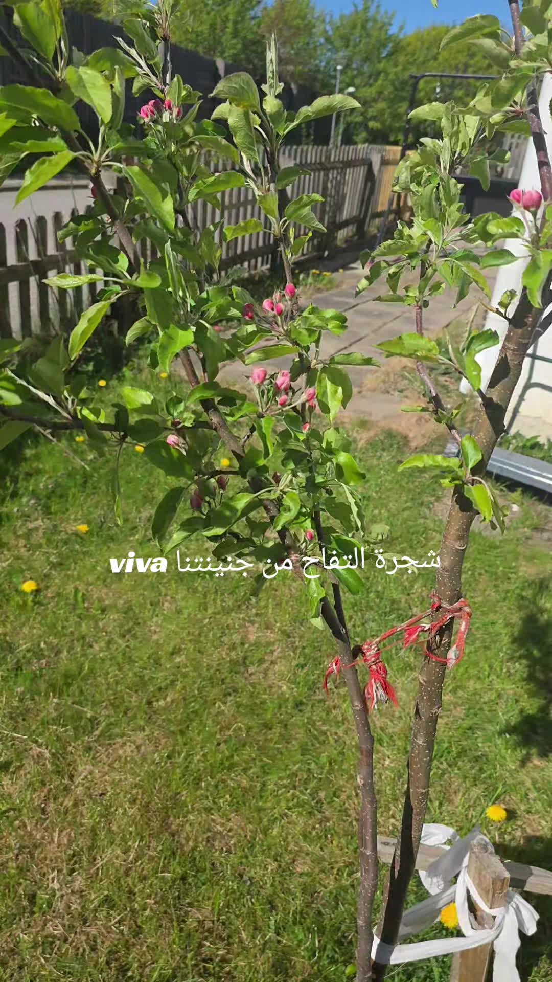 @الصمت اكثر فصاحة من الكلمات