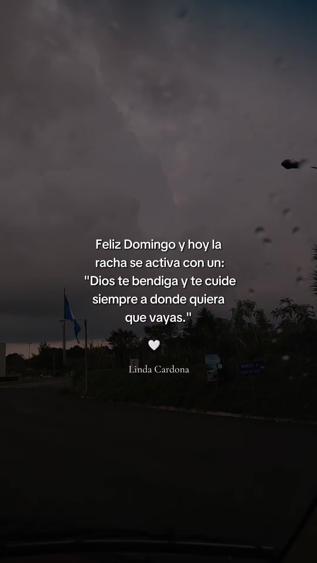 @Linda Cardona 🪼🪐