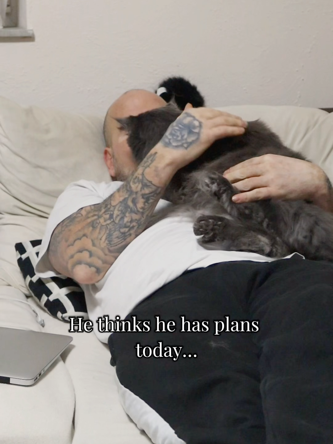 @Manny der Strizzikater