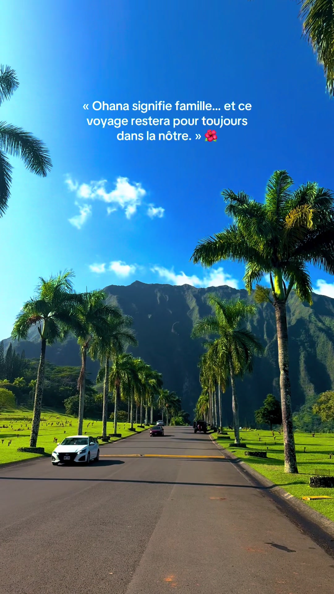 @Laulau🌴