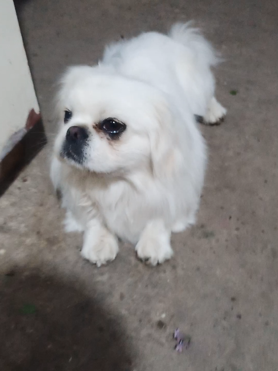 @Jacky_TikTok