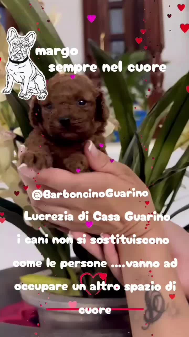 @tiziana