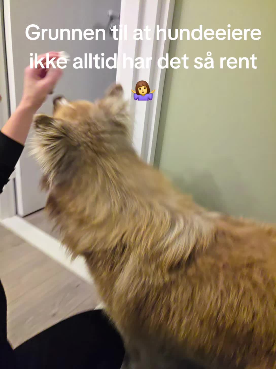 @Ingrid Knudsen