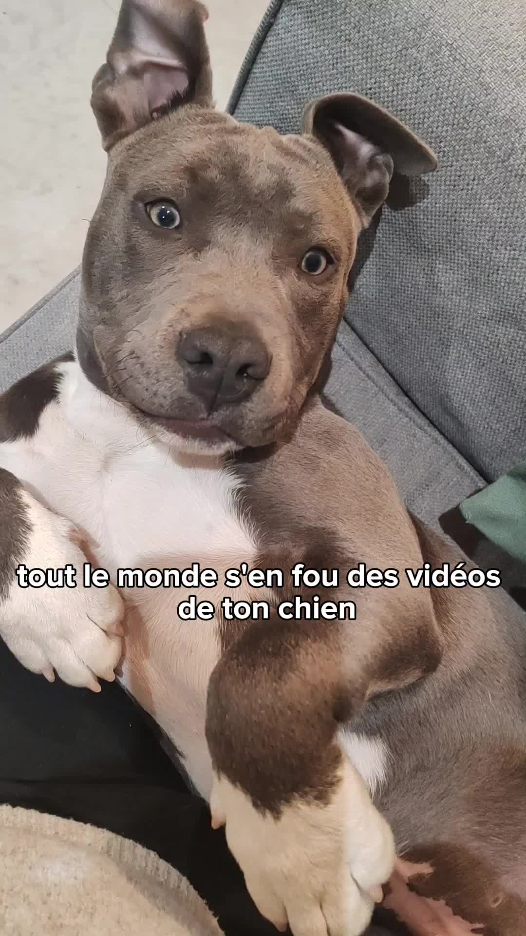 @Asko amstaff