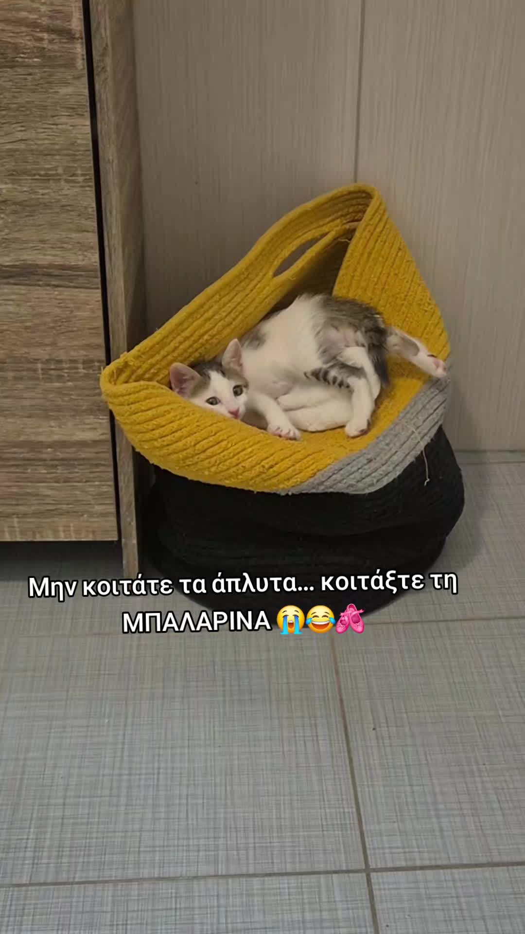@konstantinakoubara