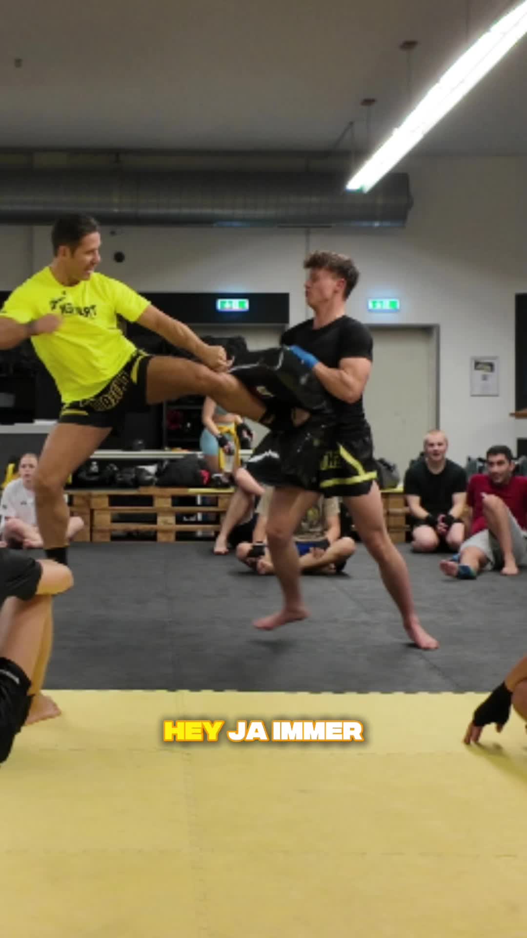 @DIEKICKBOXTRAINER