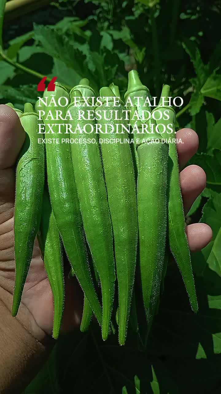 @🪴🌱Dr.Planta🌳🌻