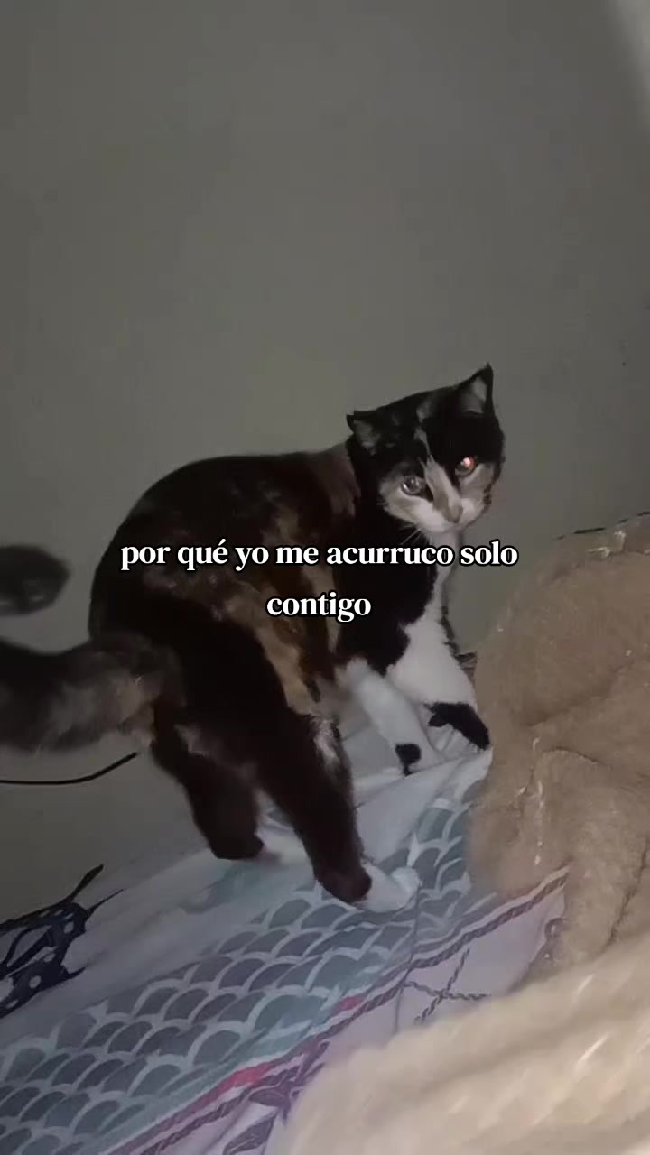 @sol