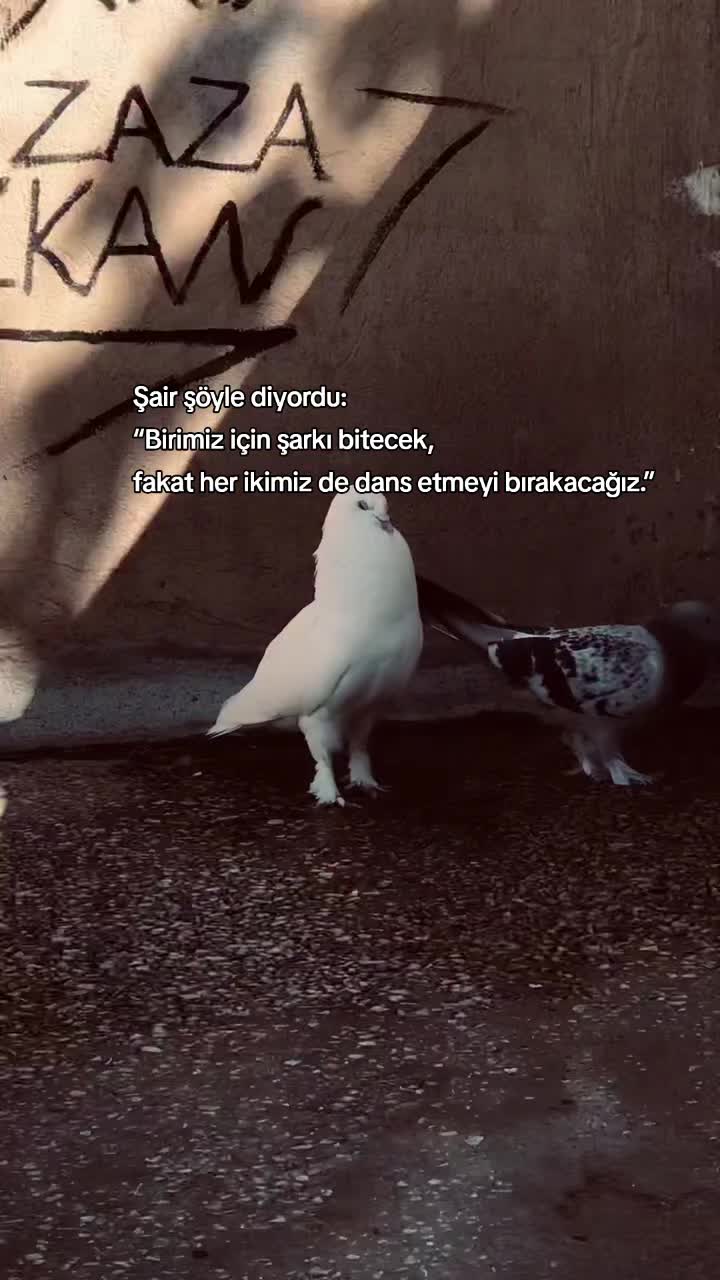 @Güler_4242