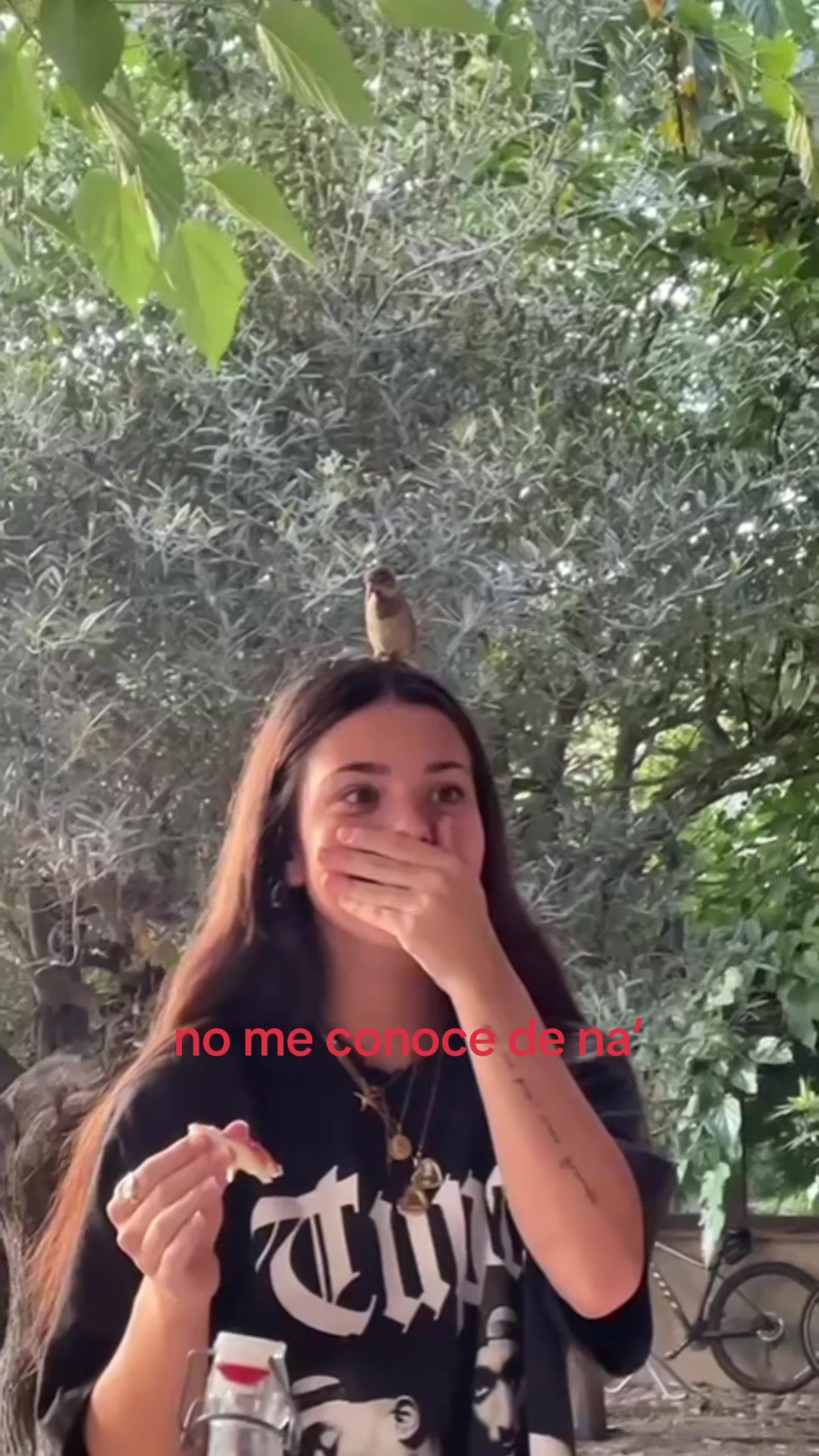 @palola