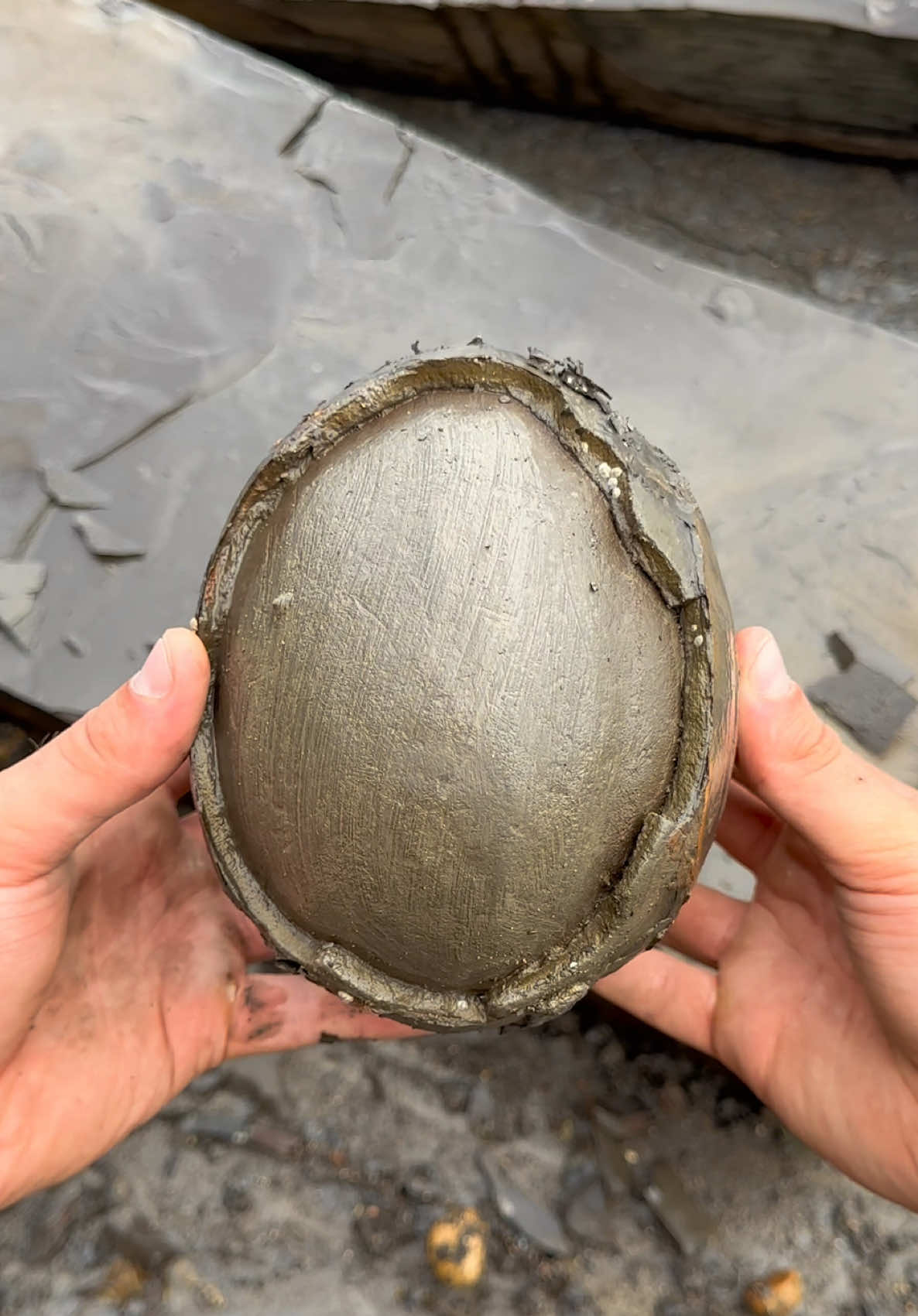 @yorkshire.fossils
