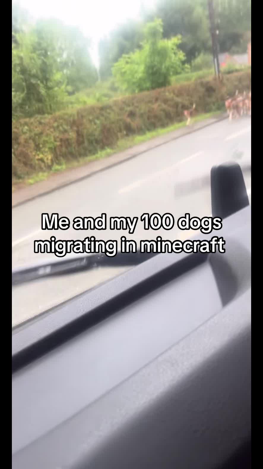 @That_GingernamedIvon