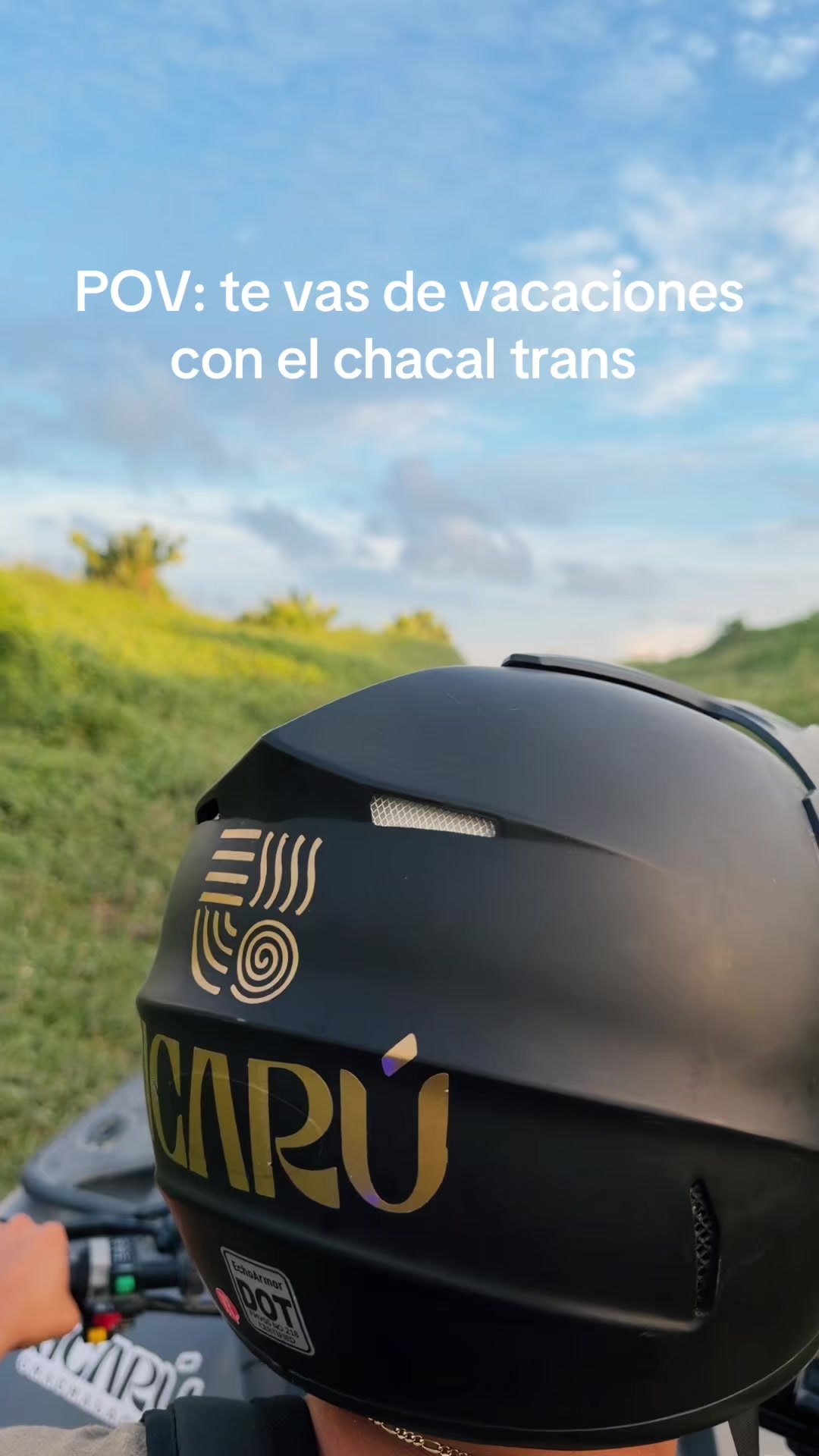 @Huevo Coeto