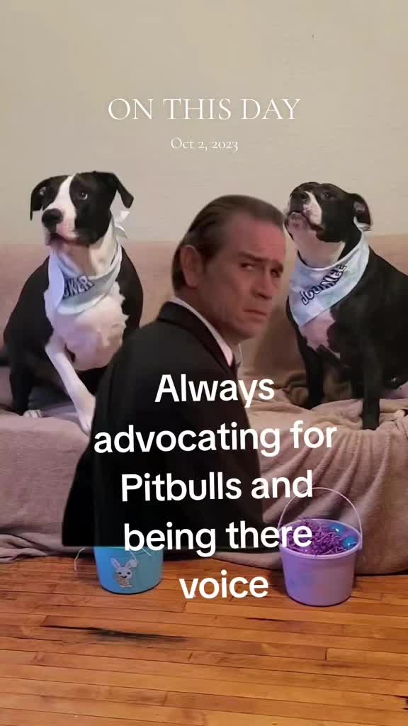 @Metalmomof4sonz