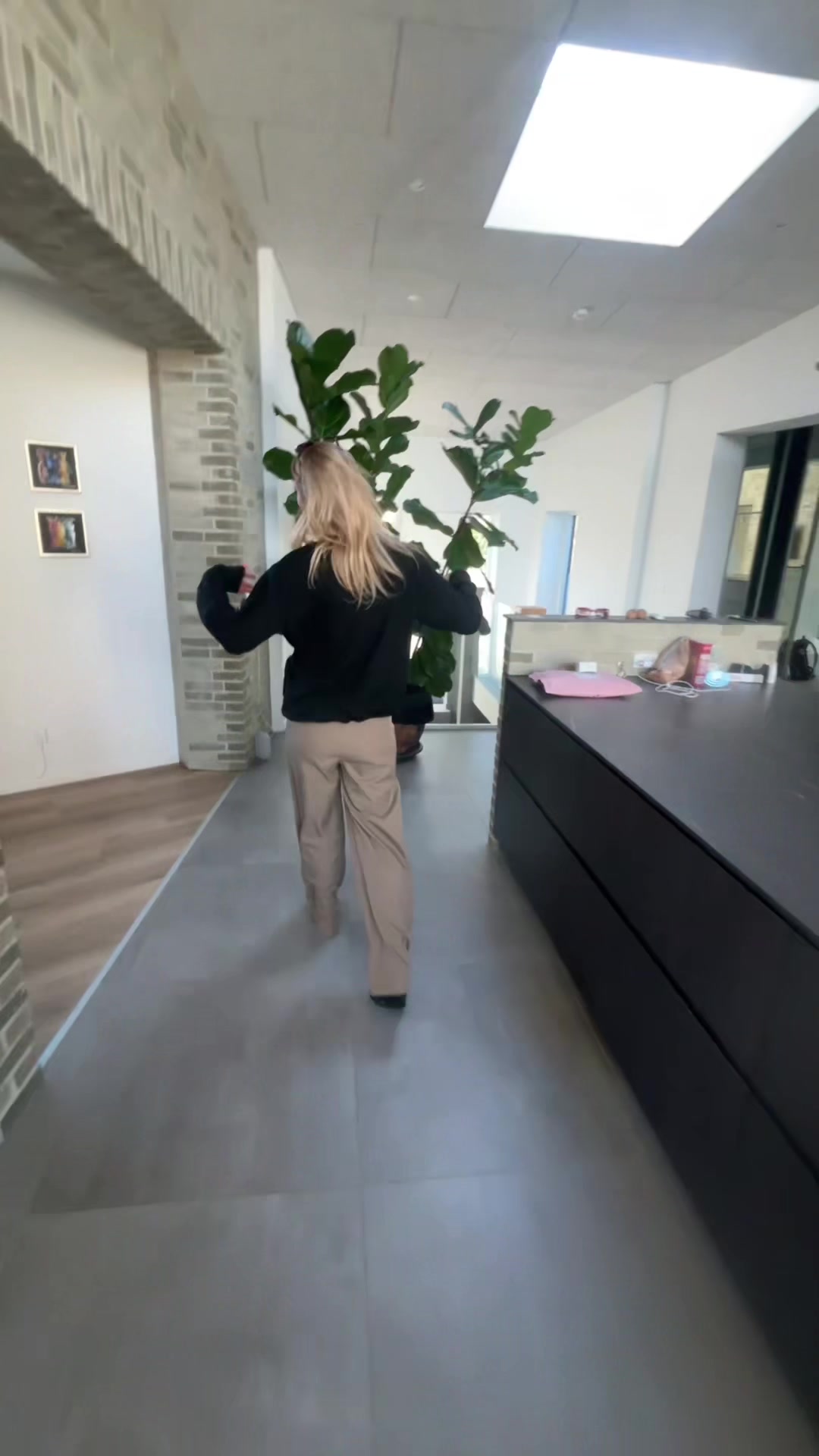 @alfeogfrej
