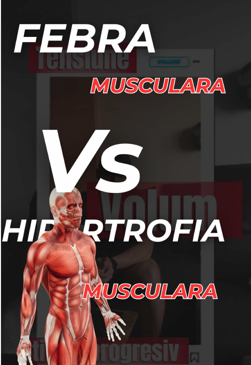 @24fitcoach.emil