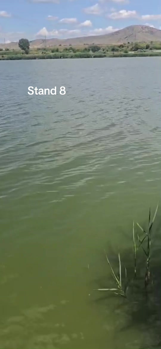 @Balta Turcoaia