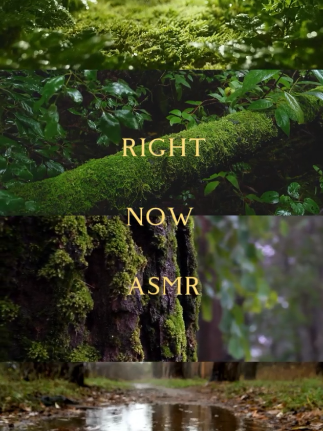 @Mitel Dan | Nature