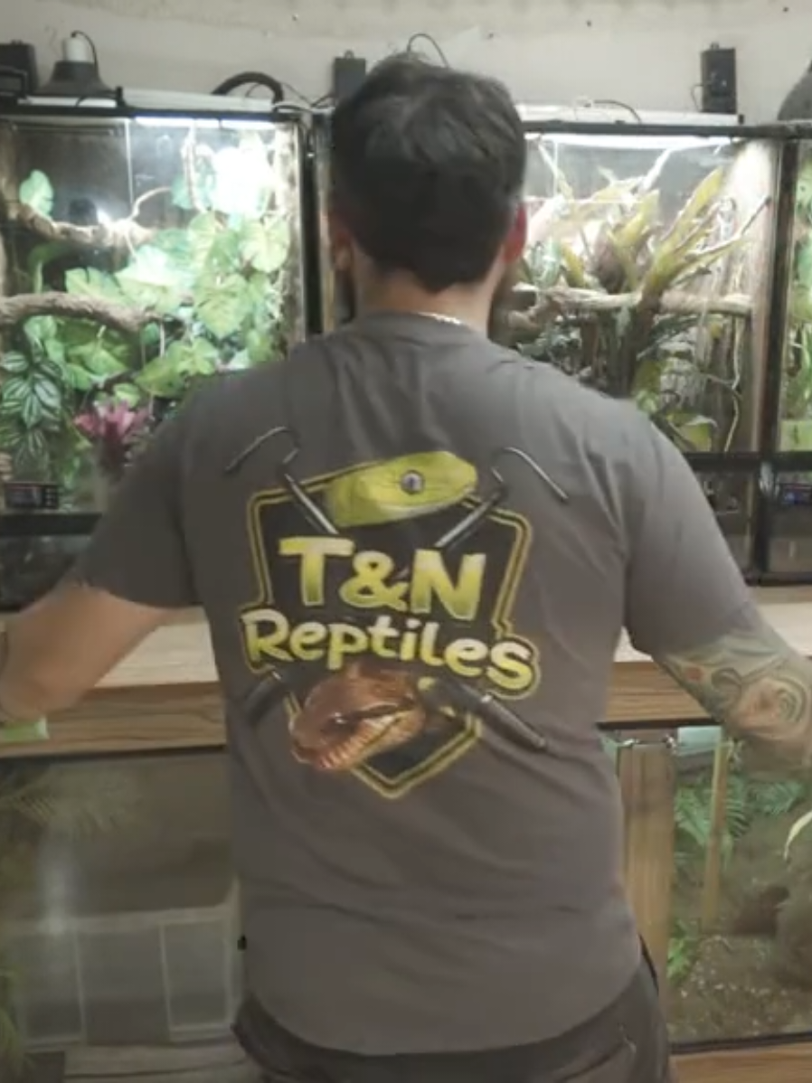 @T & N reptiles