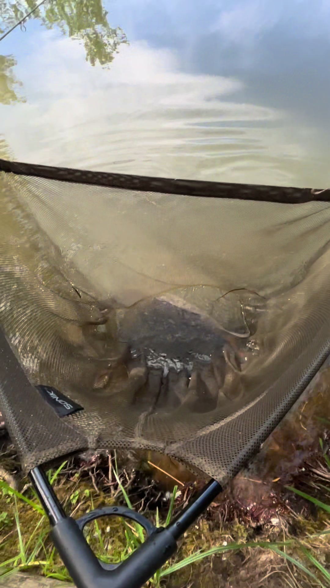 @Wensum valley angler