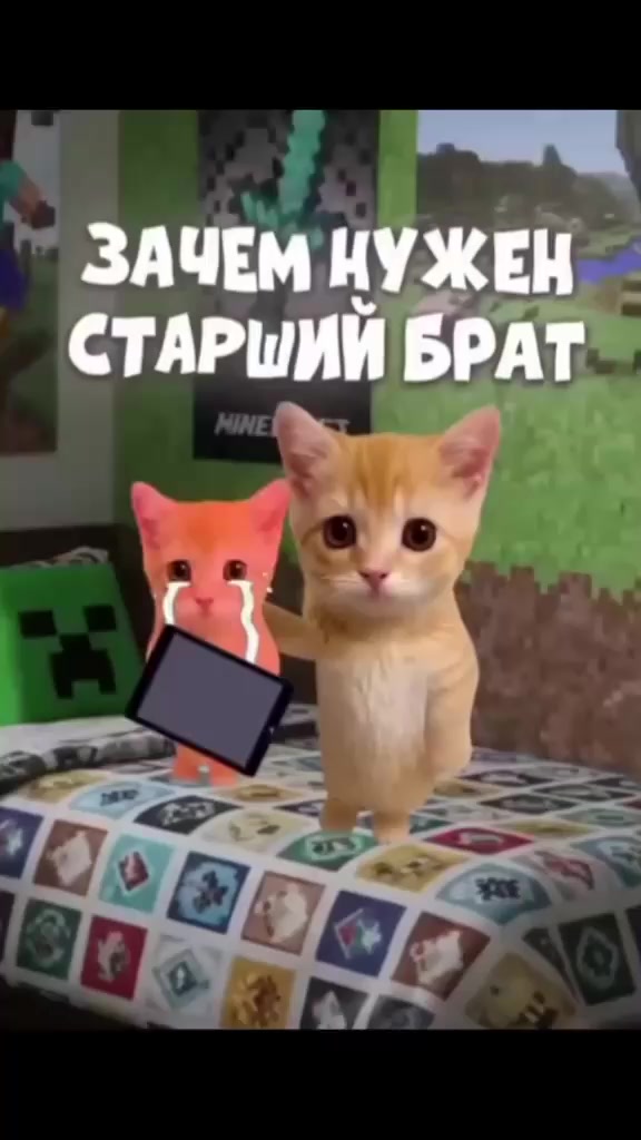 @aistr