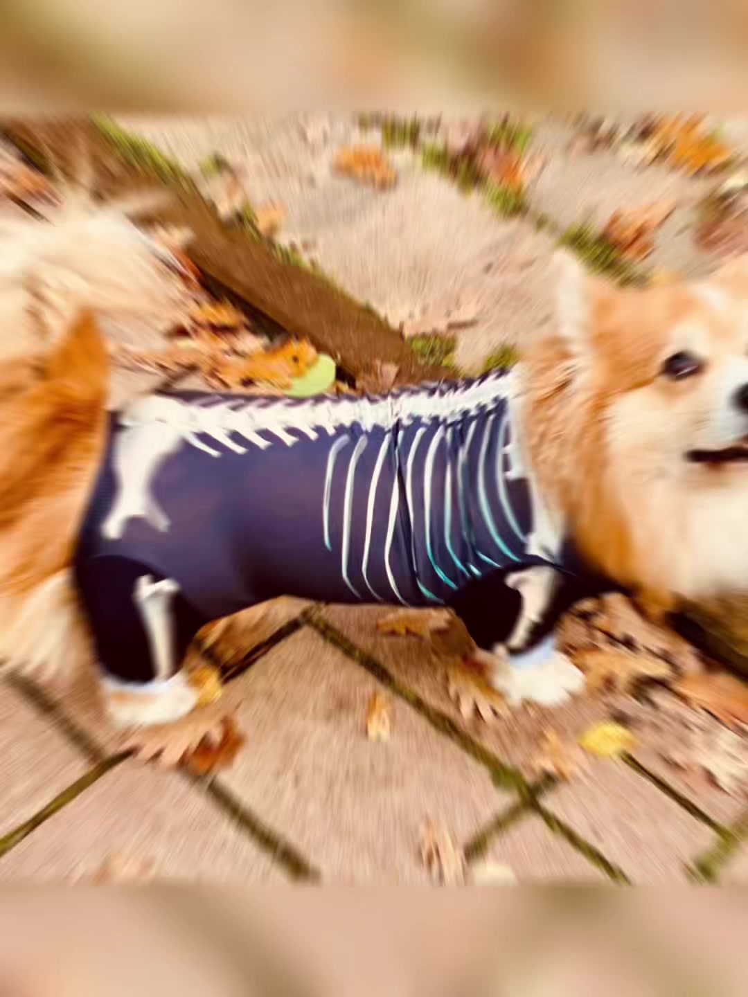@yoshiundstitch