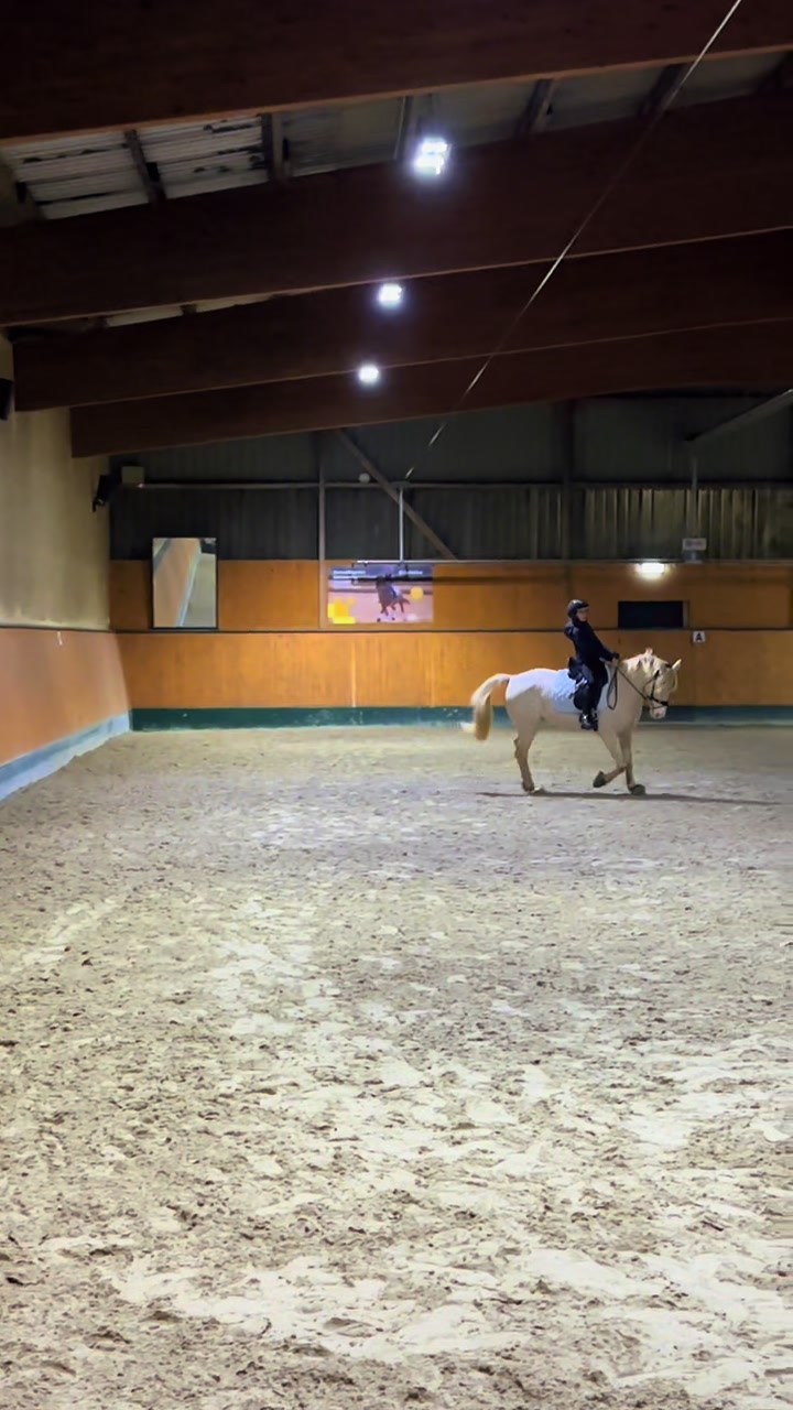 @Shanea & ihre Ponys ♥️🐴