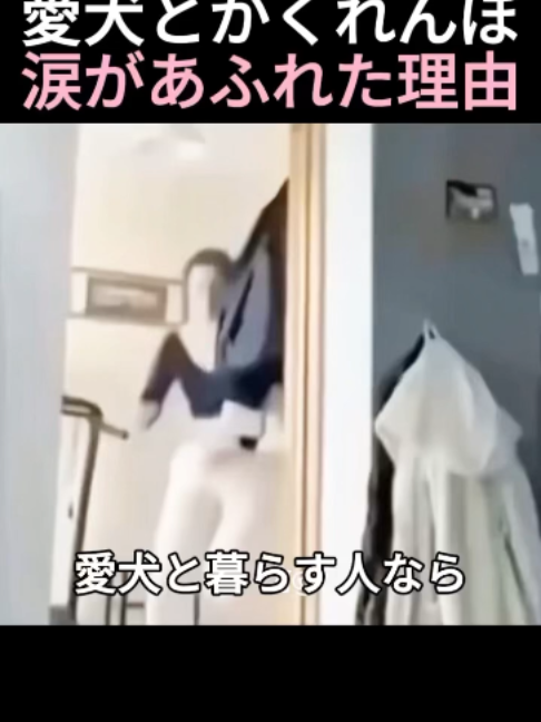 @5qpjptro