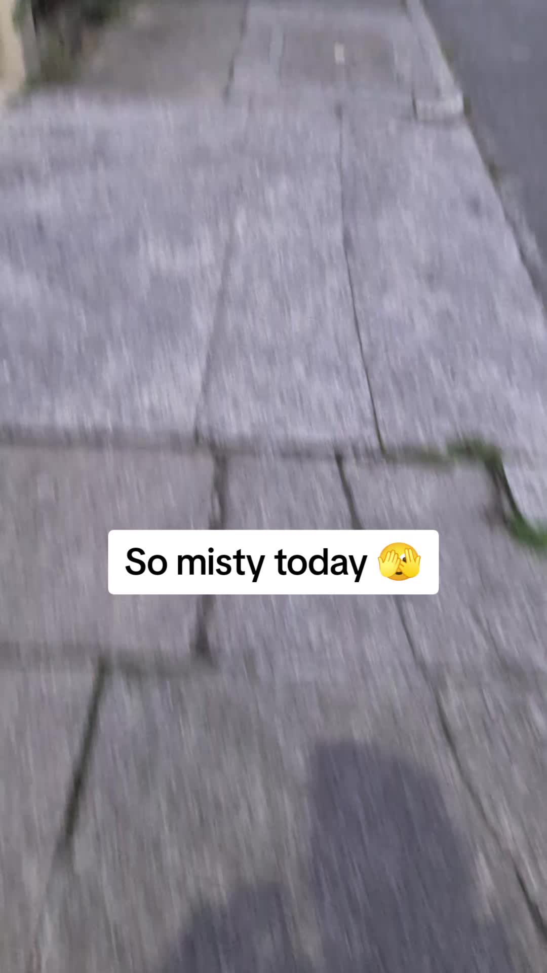 @kirsten