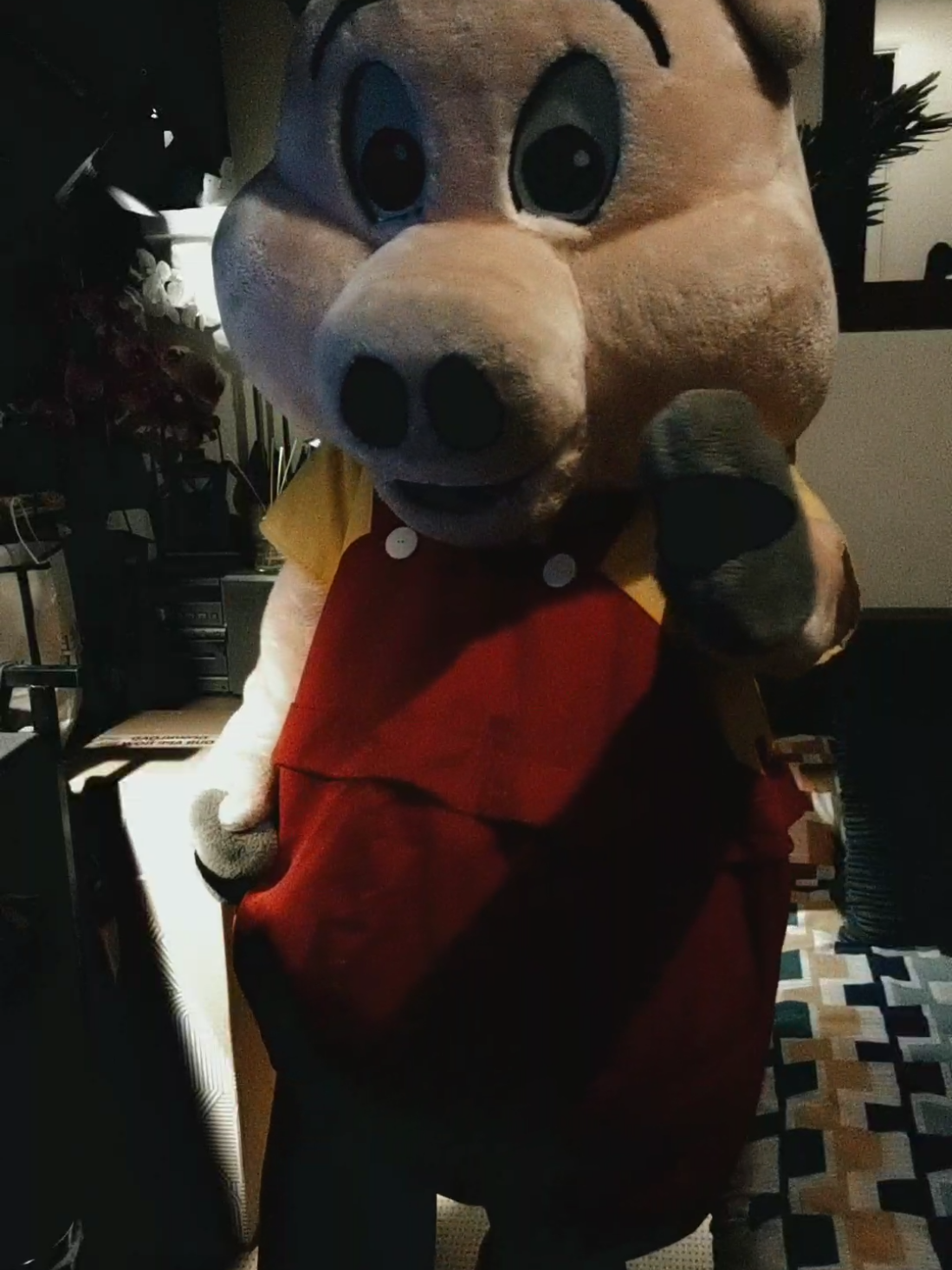 @Mascot Dan